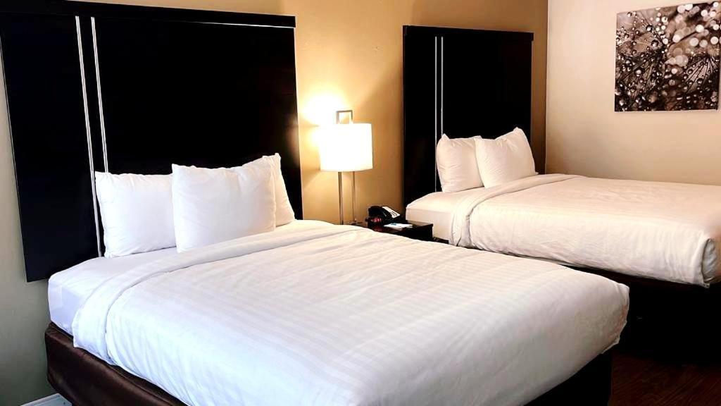 Clarion Inn & Suites Florence Ngoại thất bức ảnh