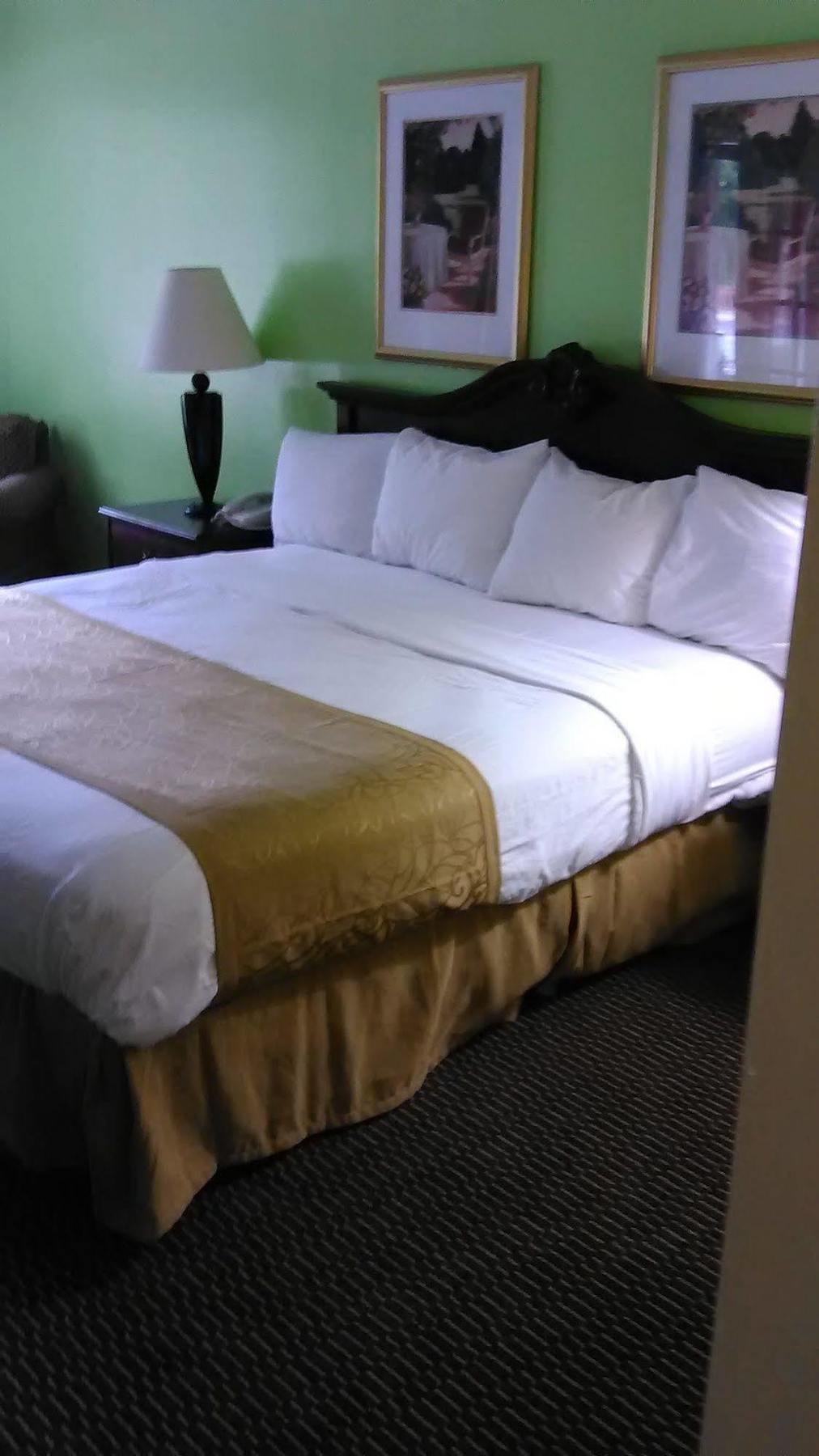 Clarion Inn & Suites Florence Ngoại thất bức ảnh